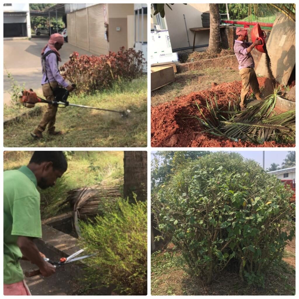 Outdoor Gardening