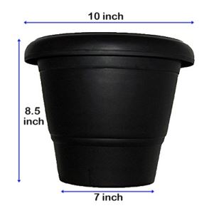 Black pot