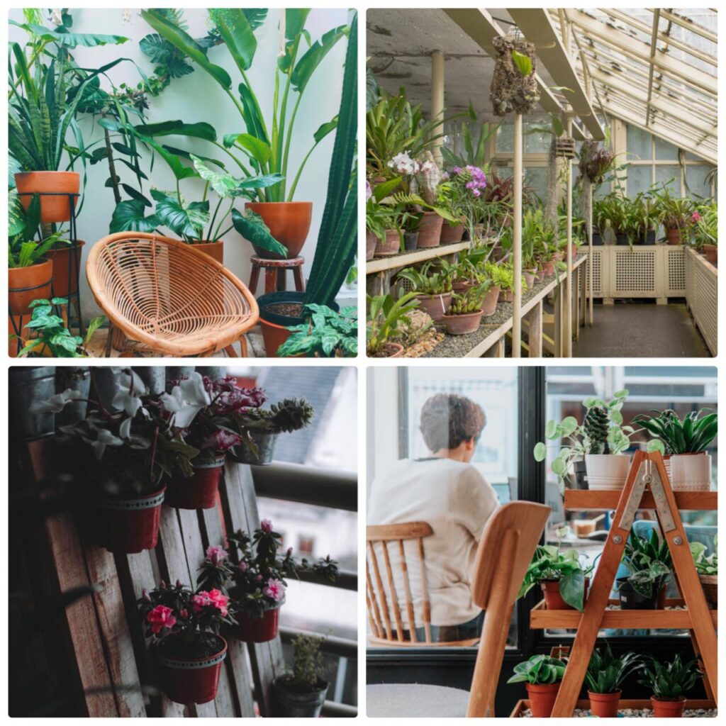 Balcony gardening